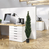 Piante artificiali verdi CEDRUS in un vaso nero nell'ufficio di hjh OFFICE