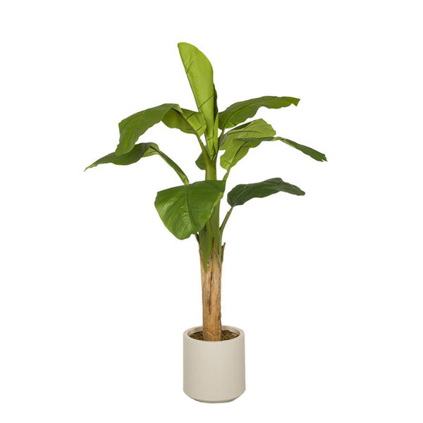 Piante artificiali