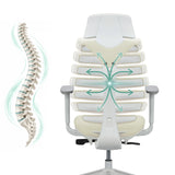 Schienale della sedia da ufficio professionale ERGO LINE W con una rappresentazione schematica della colonna vertebrale di hjh OFFICE