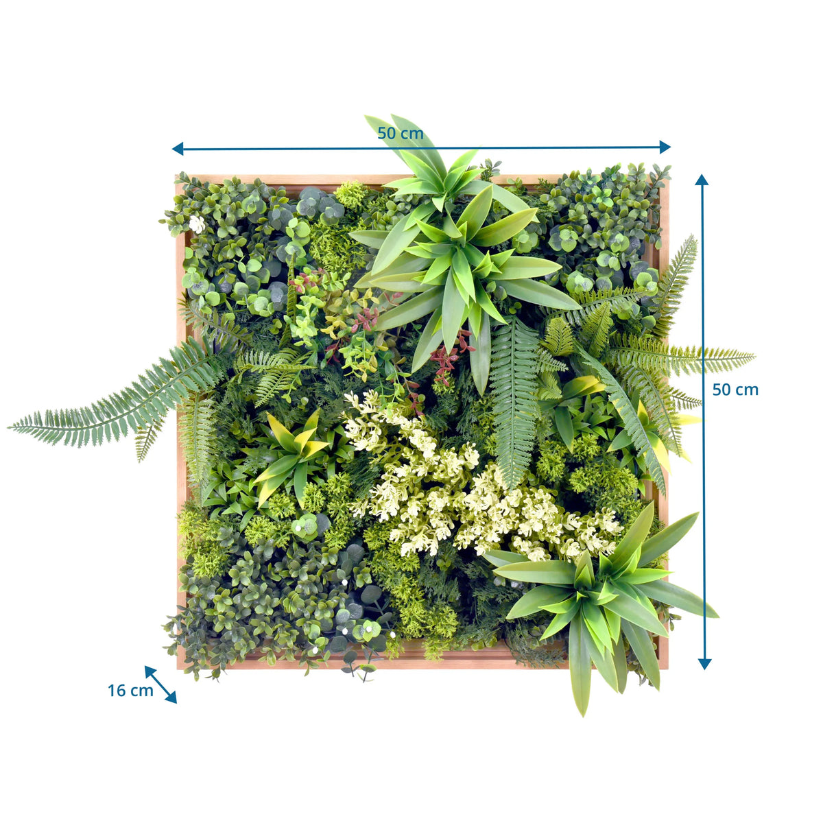 Disegno tecnico del Pannello vegetale LEAFLUXE WALL 1 con 50 × 50 cm e 16 cm di profondità di hjh LIVING