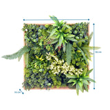 Disegno tecnico del Pannello vegetale LEAFLUXE WALL 1 con 50 × 50 cm e 16 cm di profondità di hjh LIVING