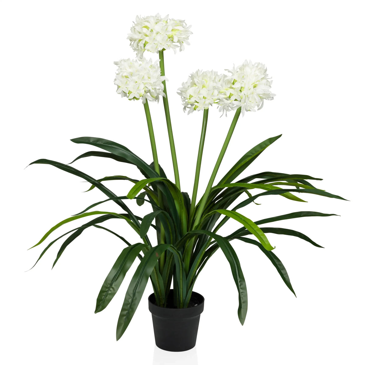 Piante artificiali AGAPANTHUS con fiori bianchi, foglie verdi e vaso nero di hjh OFFICE