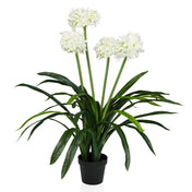 Piante artificiali AGAPANTHUS con fiori bianchi, foglie verdi e vaso nero di hjh OFFICE