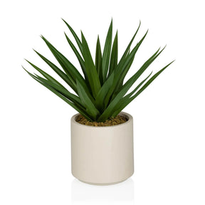 Piante artificiali Agave con foglie verdi appuntite in un vaso beige di hjh OFFICE