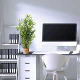 Piante artificiali MINI BAMBUS in colore verde con vaso a cesto intrecciato di hjh OFFICE