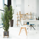 Piante artificiali verdi BAMBUS in vaso grigio con supporto in legno di hjh OFFICE
