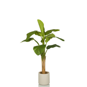 Piante artificiali verdi BANANE I con grandi foglie in un semplice vaso bianco di hjh OFFICE