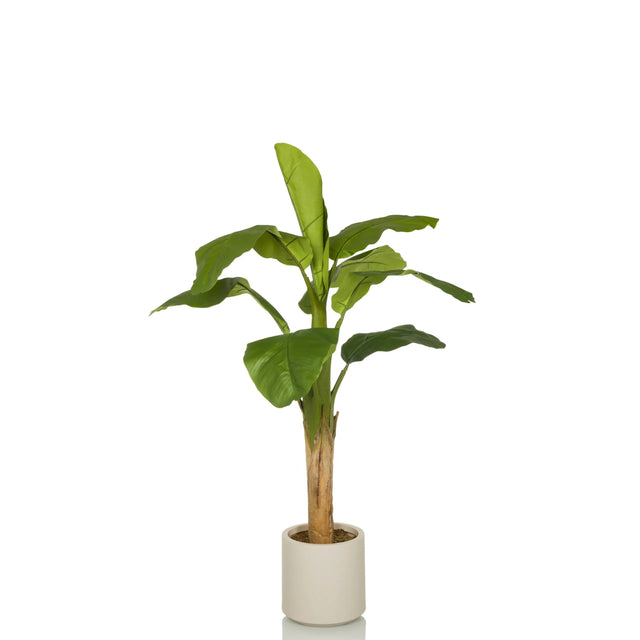 Piante artificiali verdi BANANE I con grandi foglie in un semplice vaso bianco di hjh OFFICE
