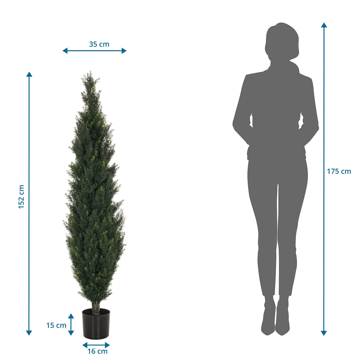 Maßzeichnung der Kunstpflanze CEDRUS mit einer Höhe von 152 cm von hjh OFFICE