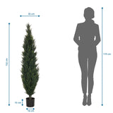 Maßzeichnung der Kunstpflanze CEDRUS mit einer Höhe von 152 cm von hjh OFFICE