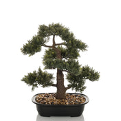 Piante artificiali BONSAI a forma di bonsai verde in una ciotola nera con sassolini di hjh OFFICE