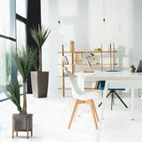 Piante artificiali YUCCA in colore verde con vaso grigio e supporto in legno di hjh OFFICE