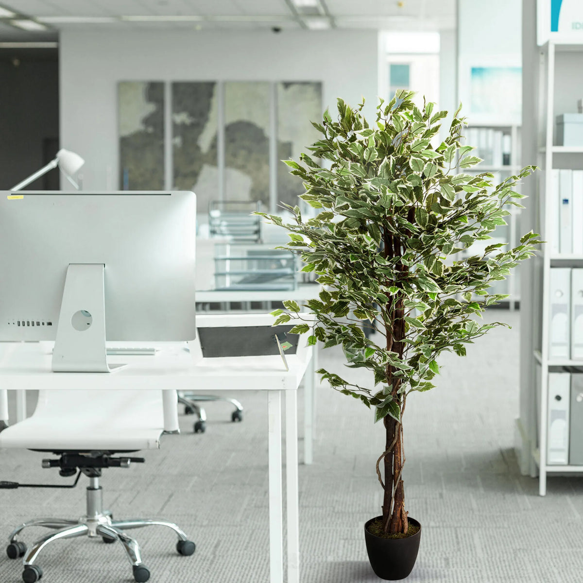 Pianta artificiale verde FICUS in un vaso nero accanto a una scrivania di hjh OFFICE
