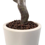 Tronco e vaso bianco con substrato di argilla espansa delle Piante artificiali Garcinia di hjh OFFICE