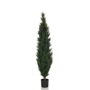 Piante artificiali verdi CEDRUS di forma snella con vaso nero di hjh OFFICE