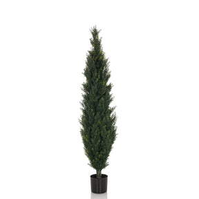CEDRUS - Kunstpflanze - buerostuhl24