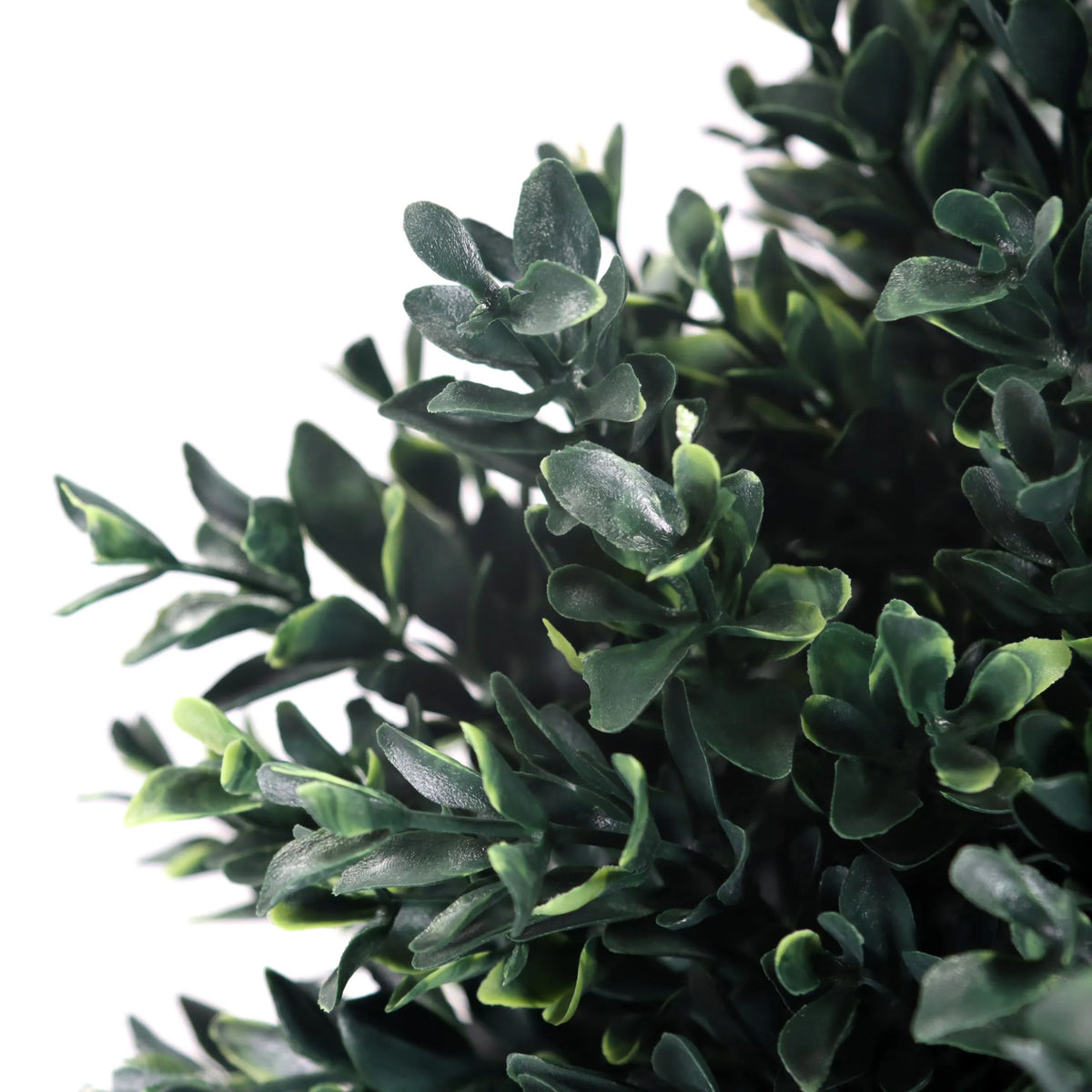 Foglie verdi della Piante artificiali BUXUS di hjh OFFICE
