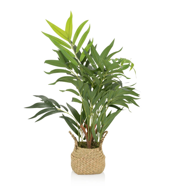 Piante artificiali CHAMAEDOREA in colore verde con coprivaso intrecciato in materiale naturale di hjh OFFICE
