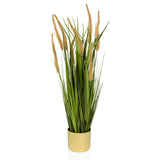 Piante artificiali CORTADERIA I in beige e verde con vaso color oro di hjh OFFICE