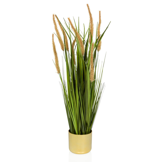 CORTADERIA I - Kunstpflanze - buerostuhl24