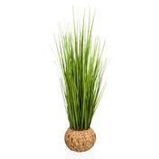 Piante artificiali CORTADERIA in verde con coprivaso intrecciato in materiale naturale di hjh OFFICE