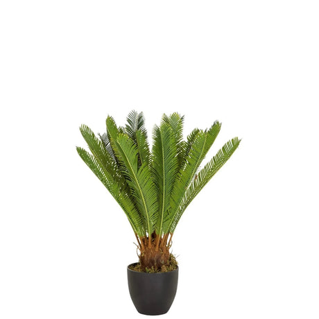 Piante artificiali verdi CYCAS con foglie simili a felci in un vaso nero di hjh OFFICE
