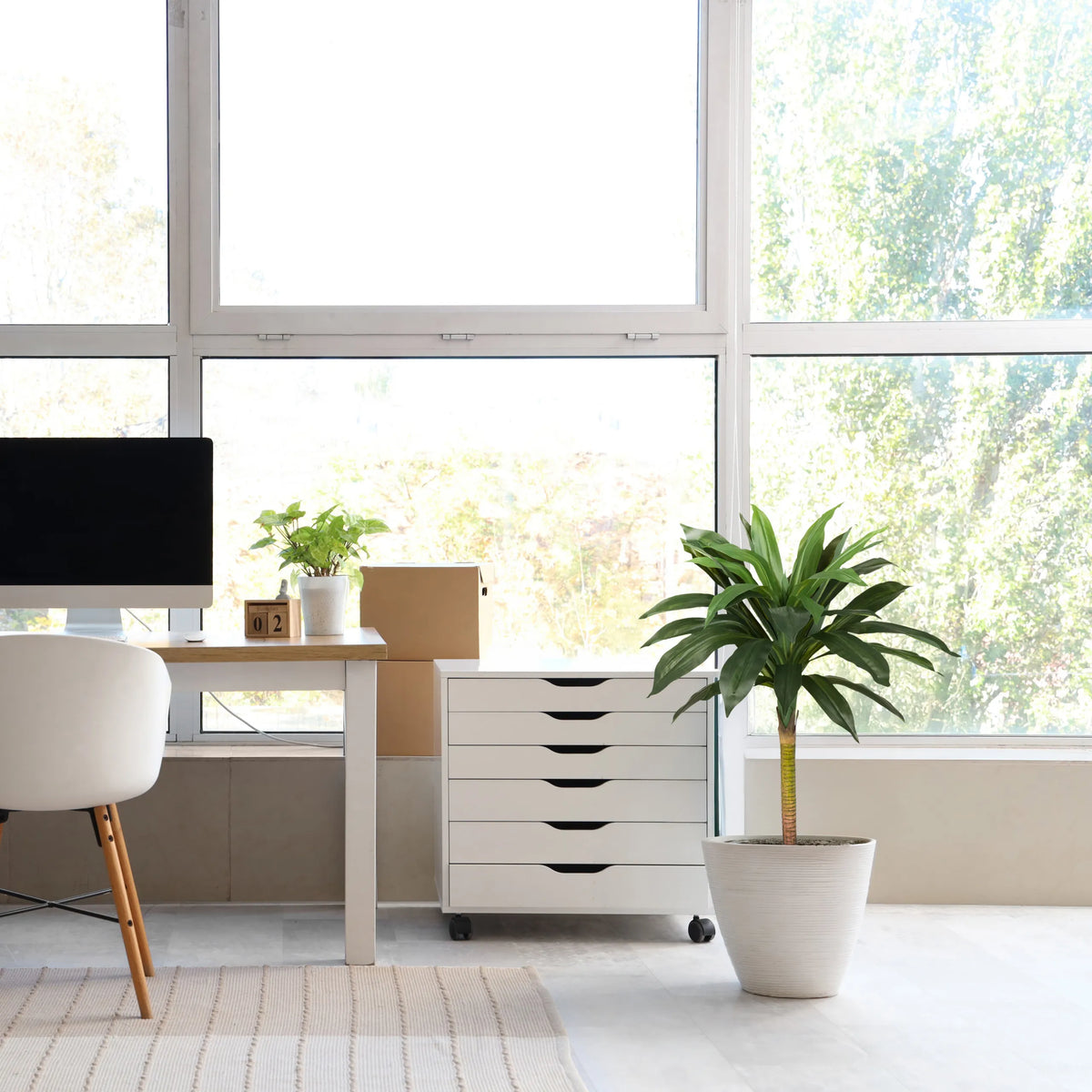 Pianta artificiale DRACAENA I verde con un coprivaso bianco in una stanza luminosa di hjh OFFICE