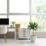 Pianta artificiale DRACAENA I verde con un coprivaso bianco in una stanza luminosa di hjh OFFICE