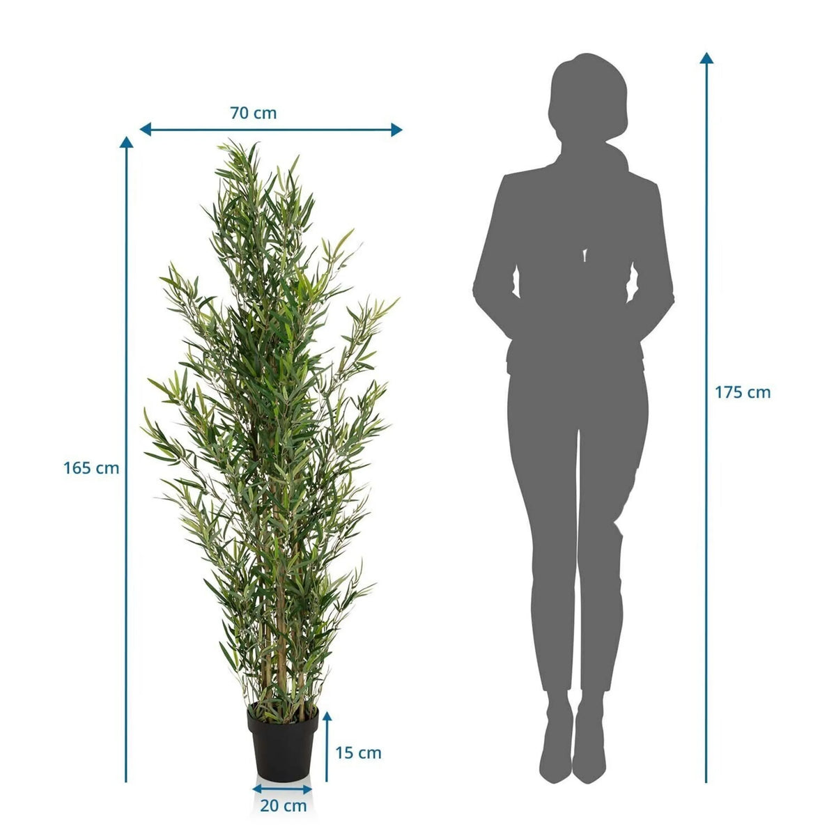 Disegno tecnico della Piante artificiali BAMBUS con un'altezza di 165 cm e una larghezza di 70 cm di hjh OFFICE