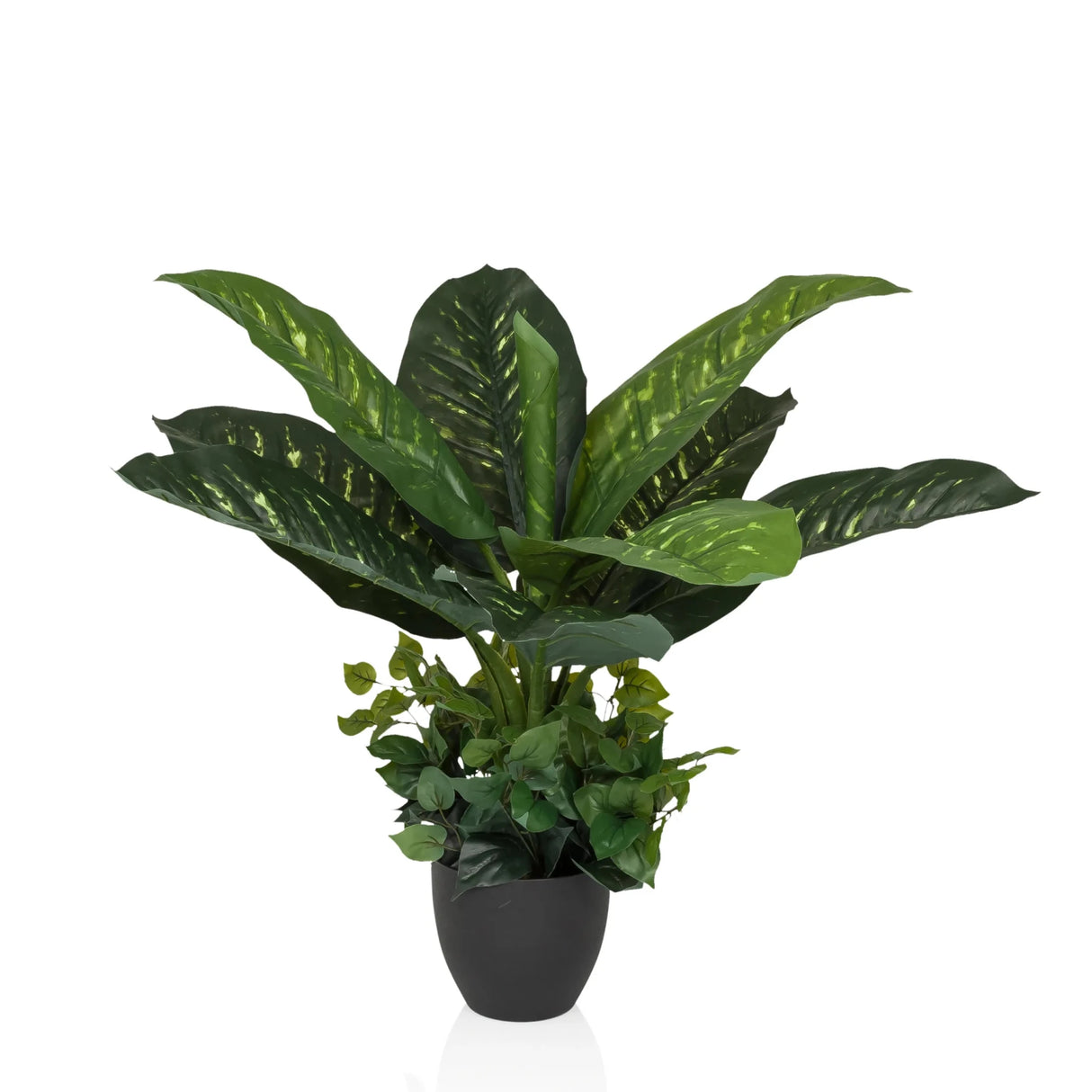 DIEFFENBACHIA - Piante artificiali 