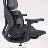 Supporto lombare e bracciolo della Sedia da ufficio professionale S100-M301 in nero di Sihoo