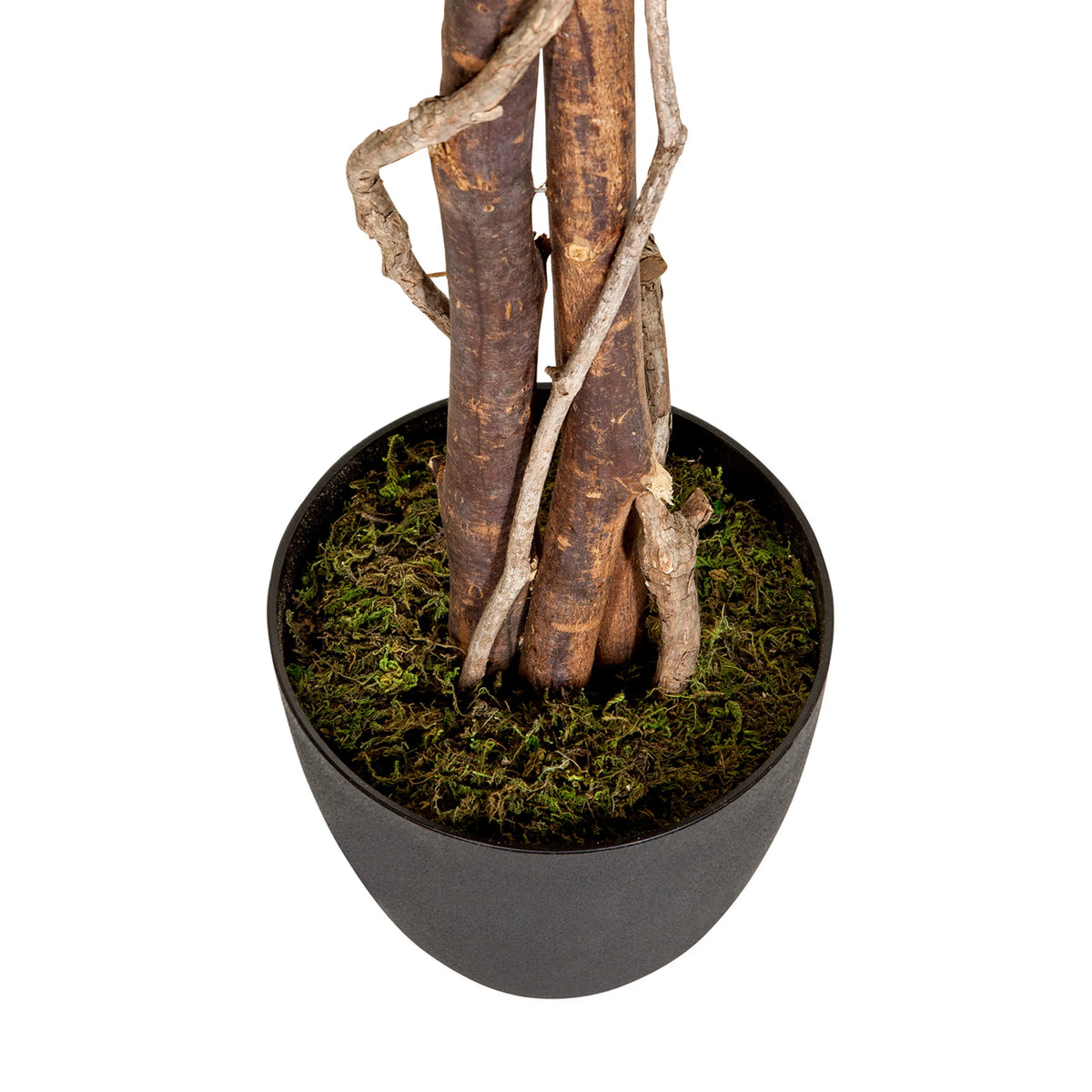 Tronchi e vaso con muschio verde delle Piante artificiali FICUS di hjh OFFICE