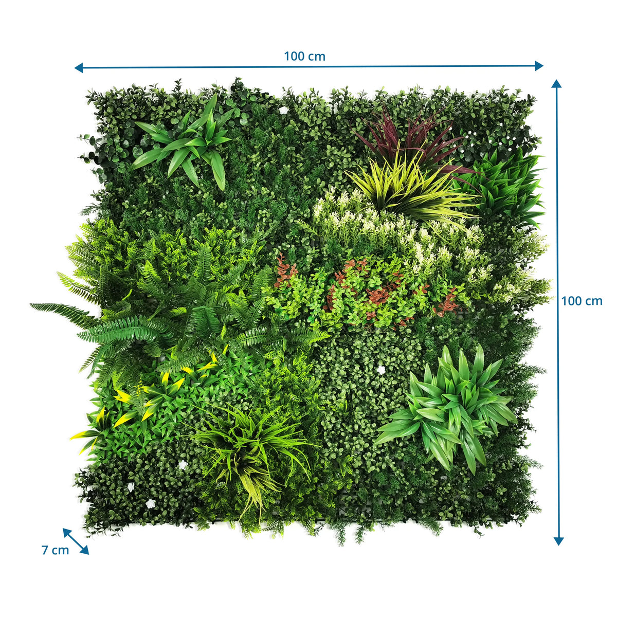 Disegno tecnico del Pannello vegetale LEAFLUXE 3D con 100 × 100 × 7 cm di hjh LIVING