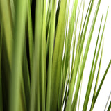 Foglie verdi della pianta artificiale CORTADERIA di hjh OFFICE