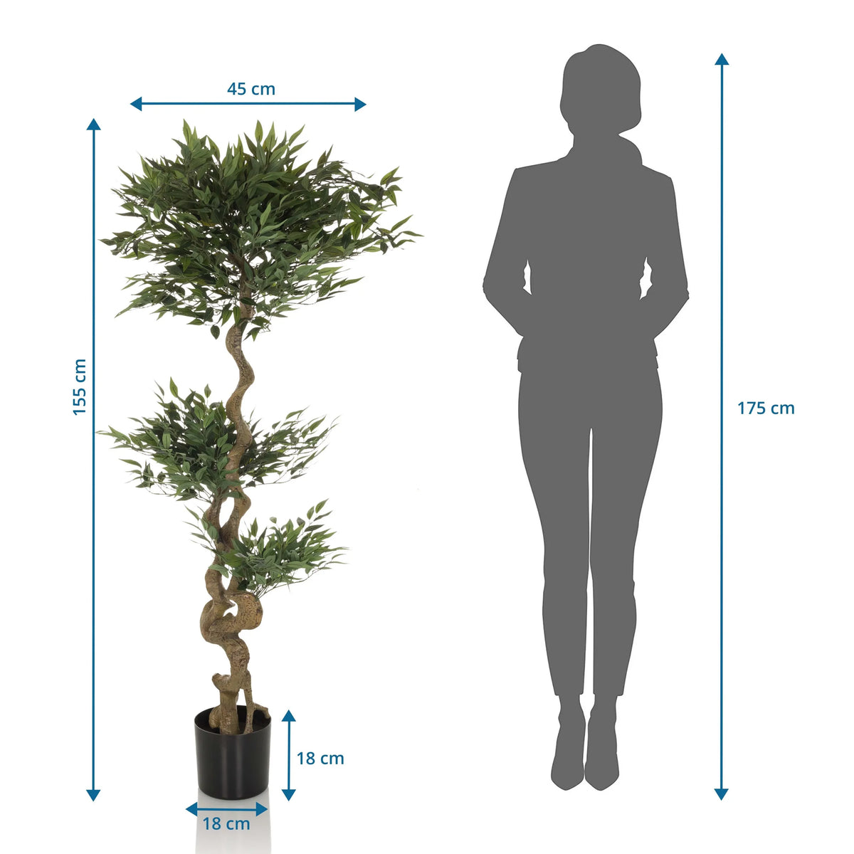 Disegno tecnico della Piante artificiali ACACIA con un'altezza di 155 cm di hjh OFFICE