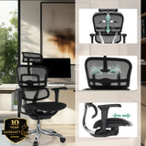 Poltrona di lusso ERGOHUMAN ULTRA F GEN2 con poggiatesta, supporto lombare e braccioli regolabili di hjh OFFICE