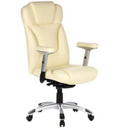Poltrona professionale EMBASSY 200 in bianco crema con base e braccioli argentati di hjh OFFICE