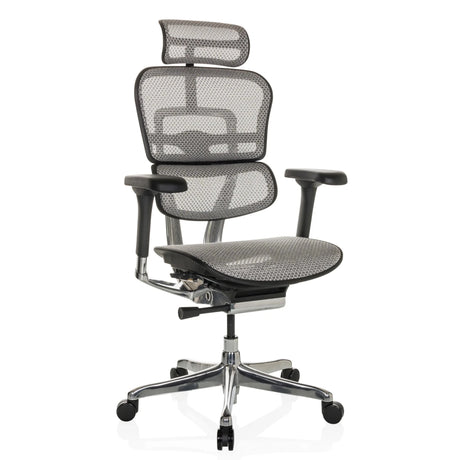 Poltrona di lusso ERGOHUMAN GEN2 con rivestimento in rete grigio chiaro, poggiatesta e base a stella lucidata di hjh OFFICE