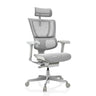 Poltrona di lusso ERGOHUMAN SLIM G GEN2 con rivestimento in rete grigio chiaro, poggiatesta e braccioli di hjh OFFICE
