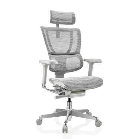 Poltrona di lusso ERGOHUMAN SLIM G GEN2 con rivestimento in rete grigio chiaro, poggiatesta e braccioli di hjh OFFICE