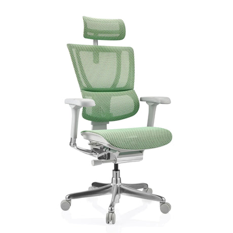 Poltrona di lusso ERGOHUMAN SLIM G GEN2 con rivestimento in rete verde, poggiatesta e base argentata di hjh OFFICE