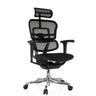 Poltrona di lusso ERGOHUMAN ULTRA F GEN2 con rivestimento in rete nera, poggiatesta e base lucida di hjh OFFICE