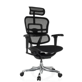 Poltrona di lusso ERGOHUMAN ULTRA F GEN2 con rivestimento in rete nera, poggiatesta e base lucida di hjh OFFICE