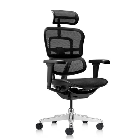Poltrona di lusso ERGOHUMAN ULTRA GEN2 con rivestimento in rete nera, poggiatesta e base argentata di hjh OFFICE