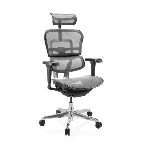 Poltrona di lusso ERGOHUMAN ULTRA GEN2 con rivestimento in rete grigia, poggiatesta e base cromata di hjh OFFICE