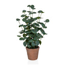 Piante artificiali Eucalyptus di colore verde con foglie rotonde in un vaso di terracotta marrone di hjh OFFICE
