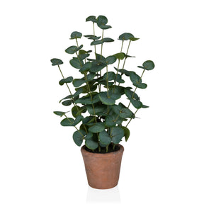 Piante artificiali Eucalyptus di colore verde con foglie rotonde in un vaso di terracotta marrone di hjh OFFICE
