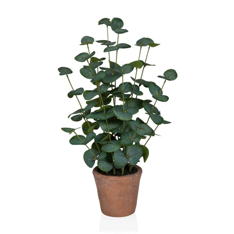 Piante artificiali Eucalyptus di colore verde con foglie rotonde in un vaso di terracotta marrone di hjh OFFICE