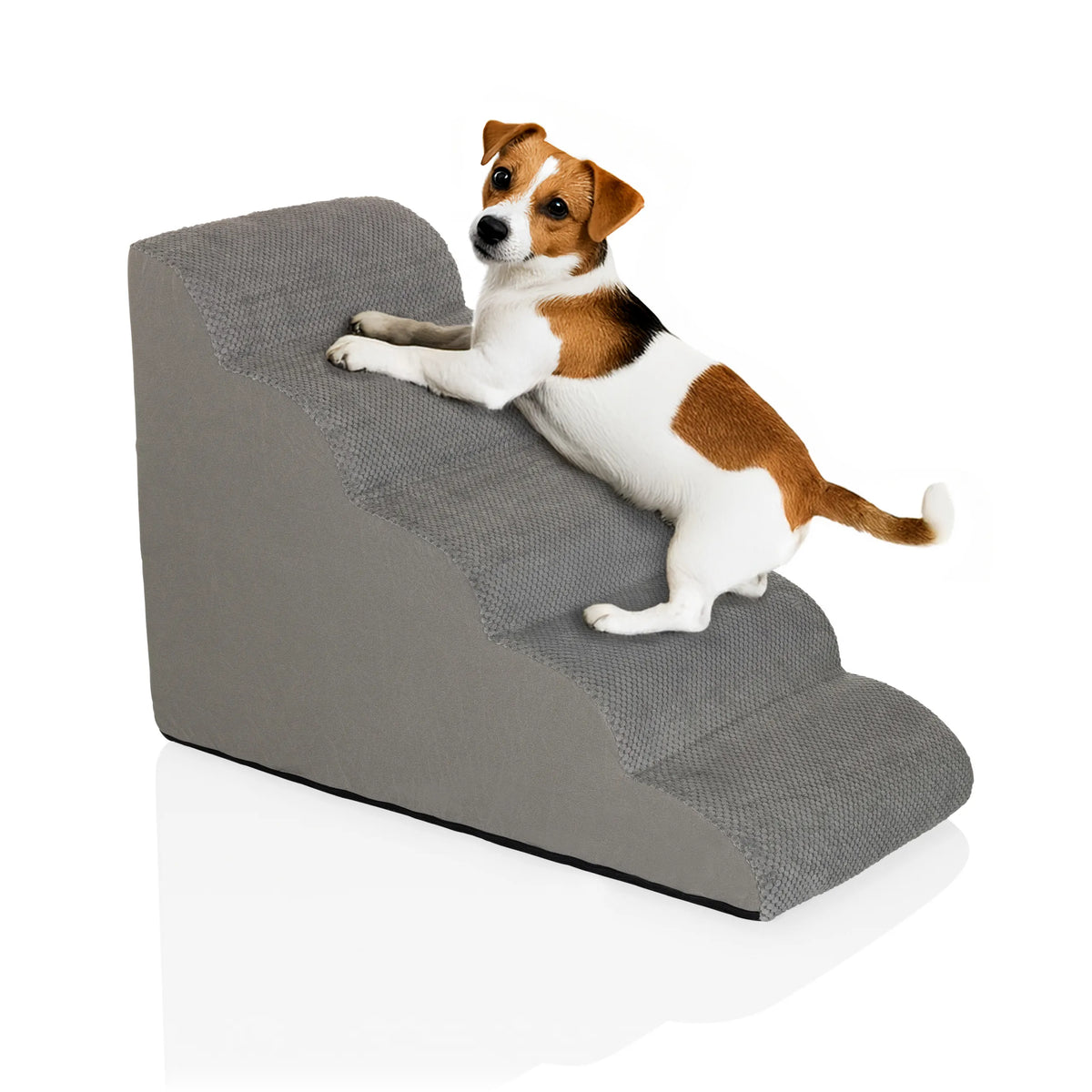 Scaletta per animali domestici PAWY STEP 5 grigia con un cane di piccola taglia di hjh LIVING