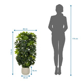 Disegno dimensionale della Piante artificiali Schefflera 2 con altezza di 110 cm e larghezza di 48 cm di hjh OFFICE